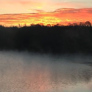 Meet your Posher, Pat